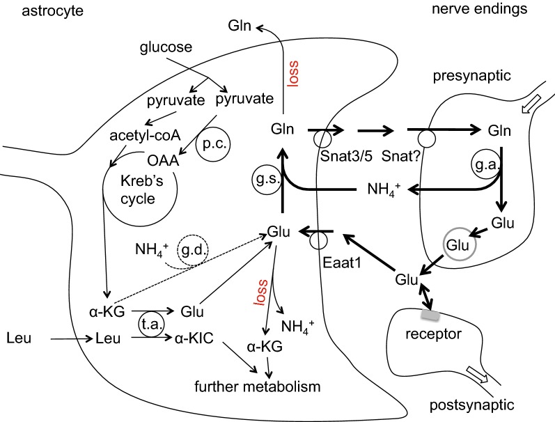 Fig. 17