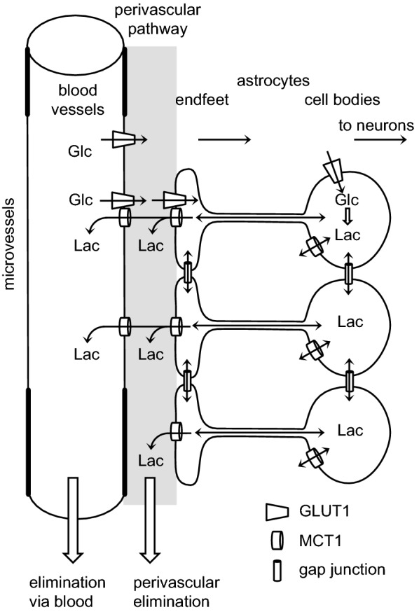 Fig. 15