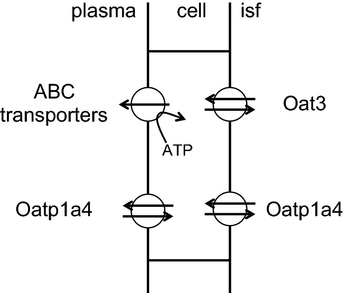 Fig. 10