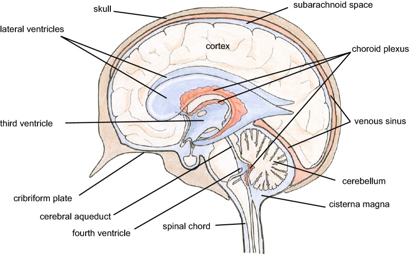 Fig. 1