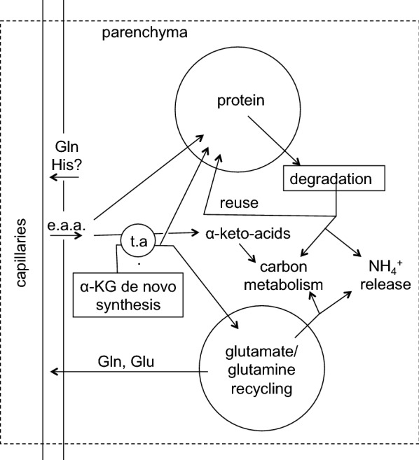 Fig. 16