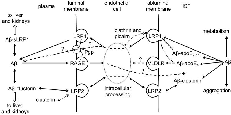 Fig. 20