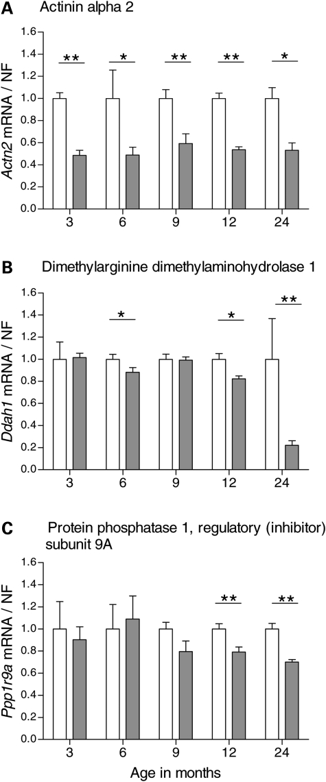 Figure 3.