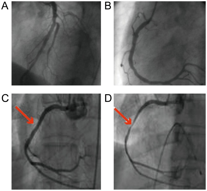 Figure 1.