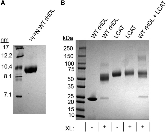 Fig. 7.