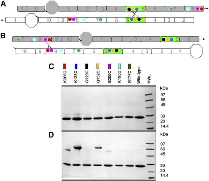 Fig. 2.