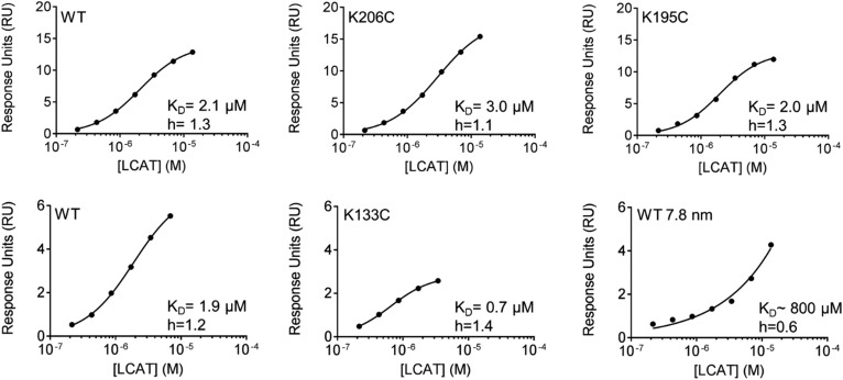 Fig. 6.