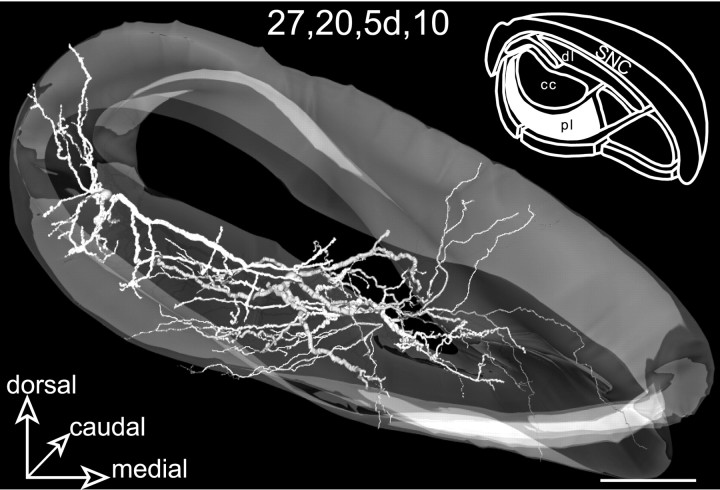 Fig. 13.