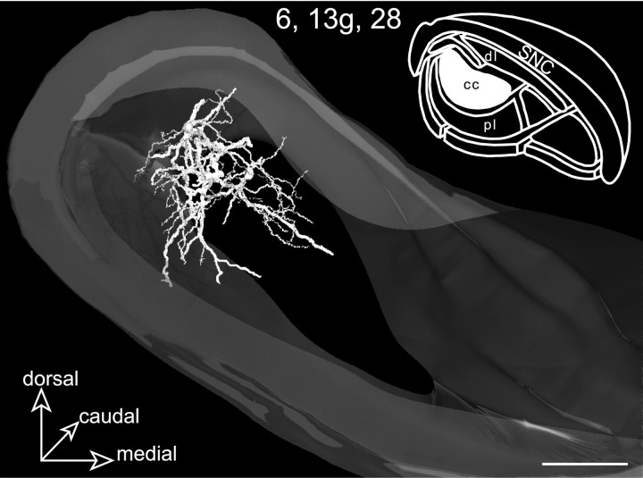 Fig. 6.