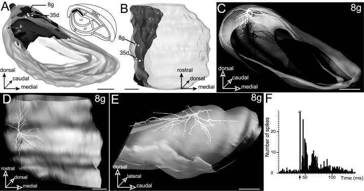 Fig. 9.