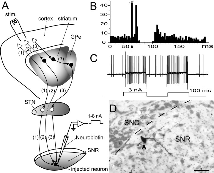 Fig. 1.