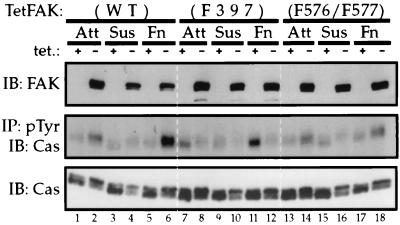 FIG. 9