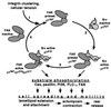 FIG. 10