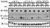 FIG. 9