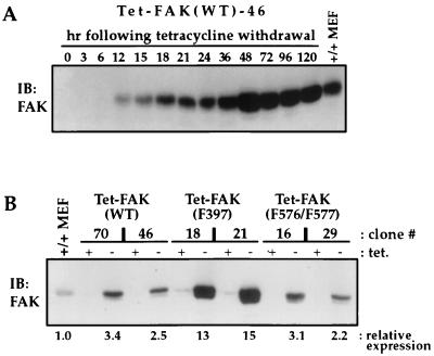 FIG. 1