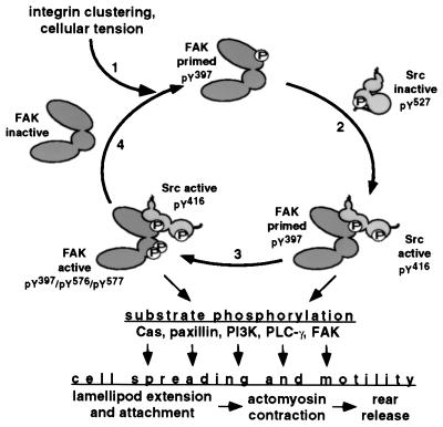 FIG. 10