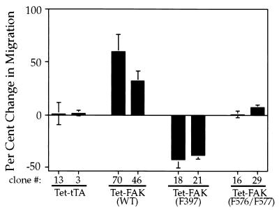 FIG. 7