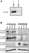 FIG. 8
