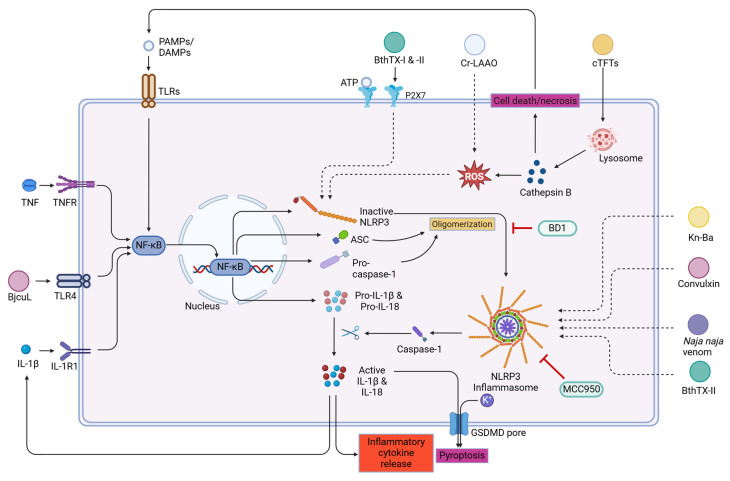 Figure 5