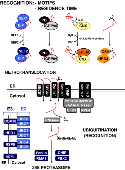 Fig. 3