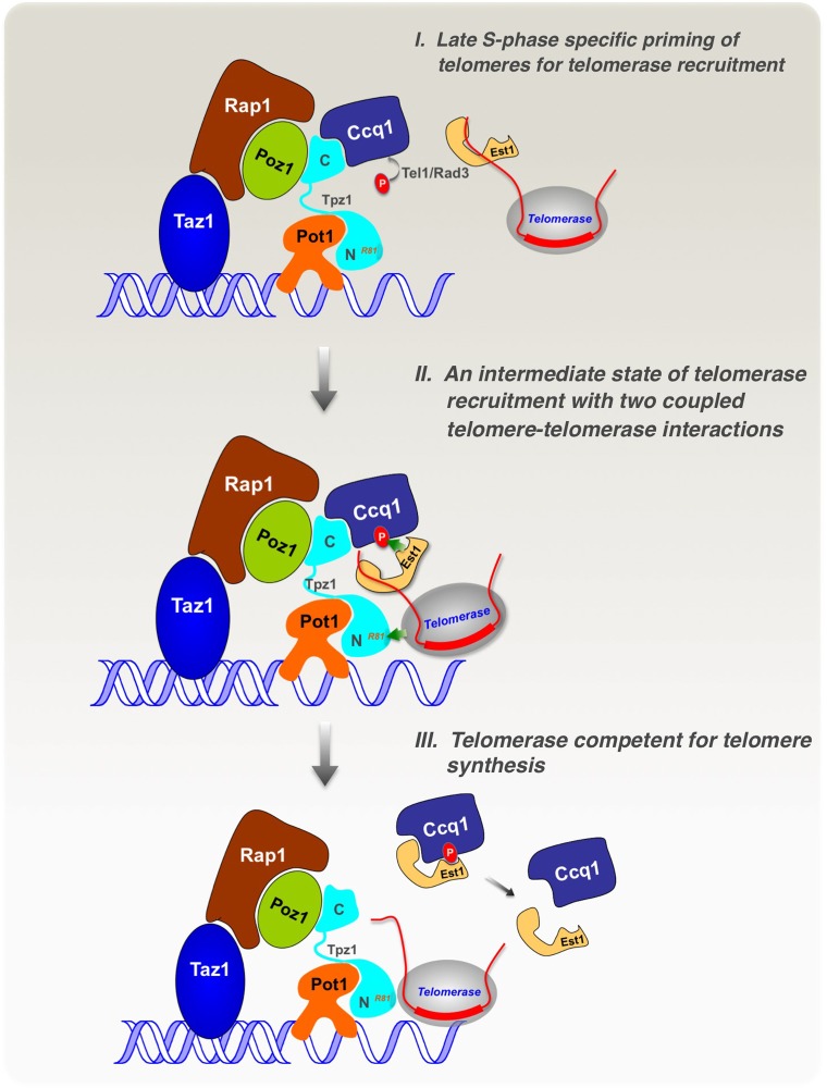 Figure 7.