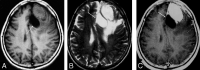 Fig 1.