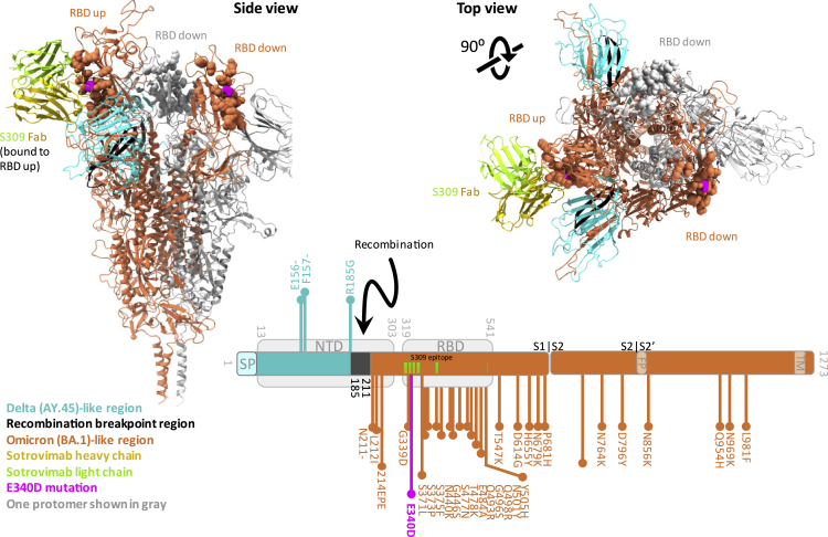 Figure 2