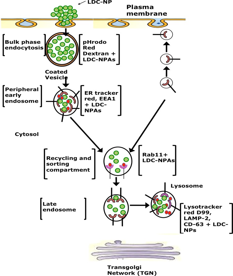 Figure 15