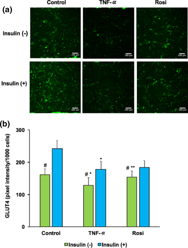 Figure 5