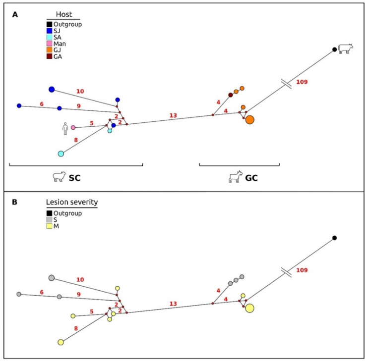 Figure 6