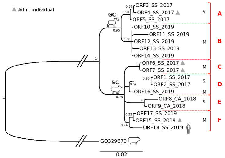 Figure 5