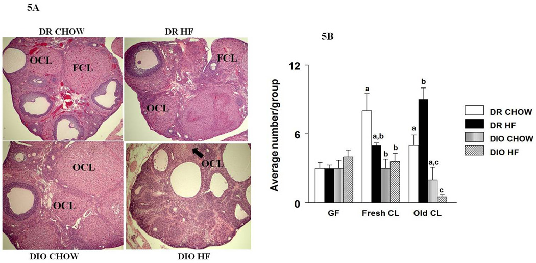 Figure 5