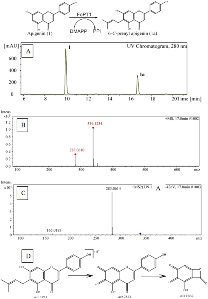 Figure 5