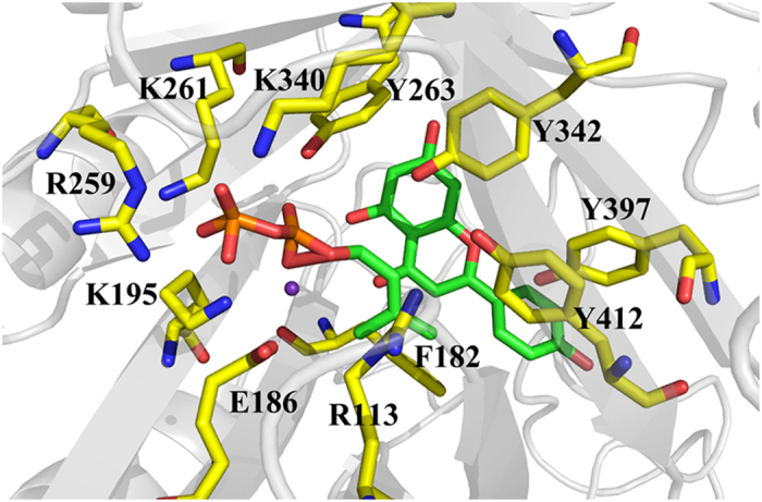 Figure 7