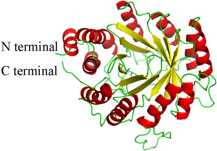 Figure 6