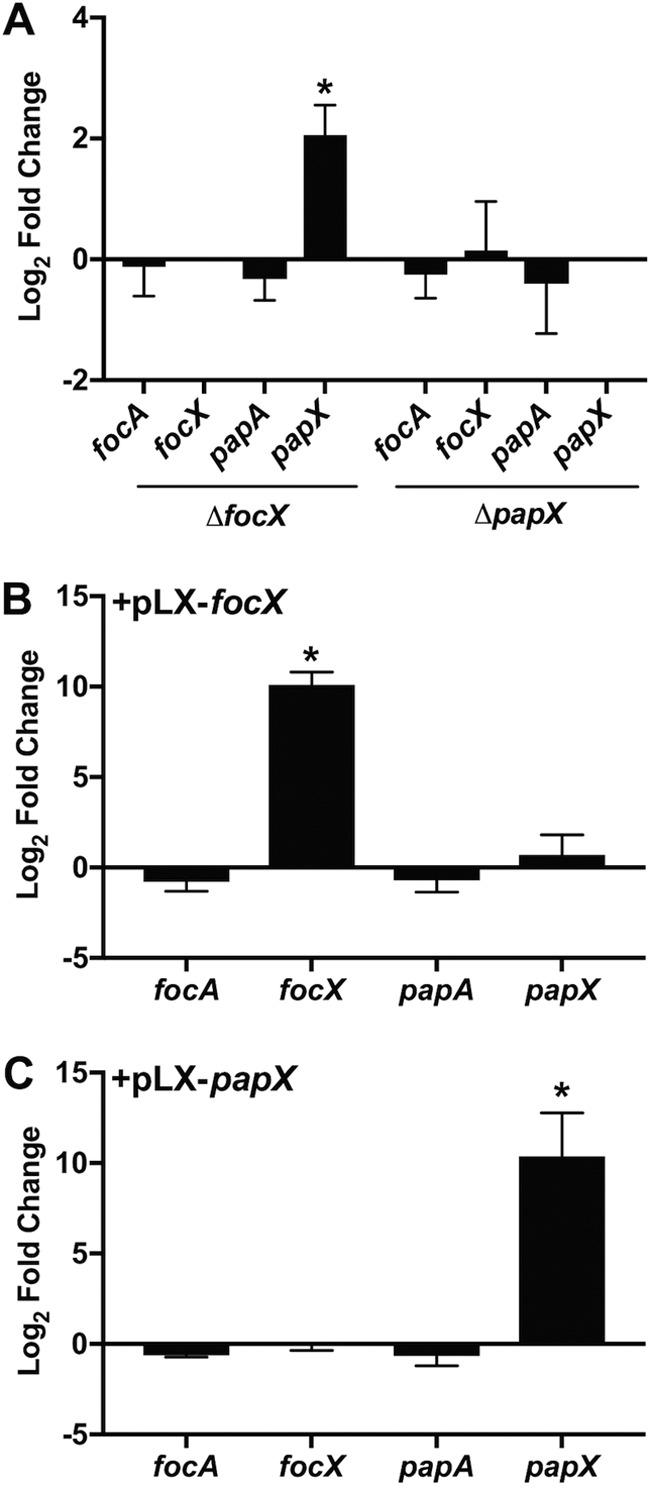 FIG 6