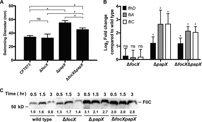 FIG 2