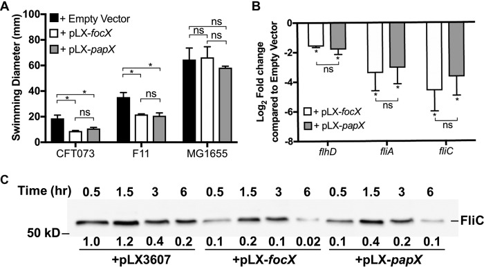 FIG 3