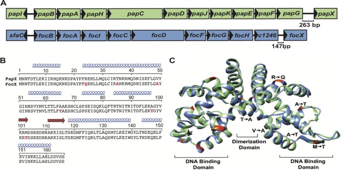 FIG 1