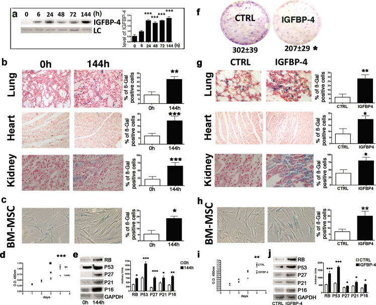 graphic file with name elife-80871-fig1.jpg