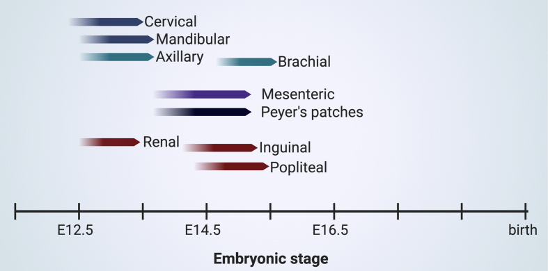 Fig. 3