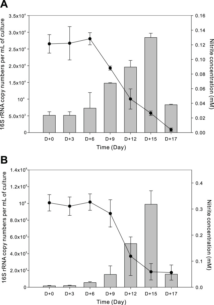 FIG 1