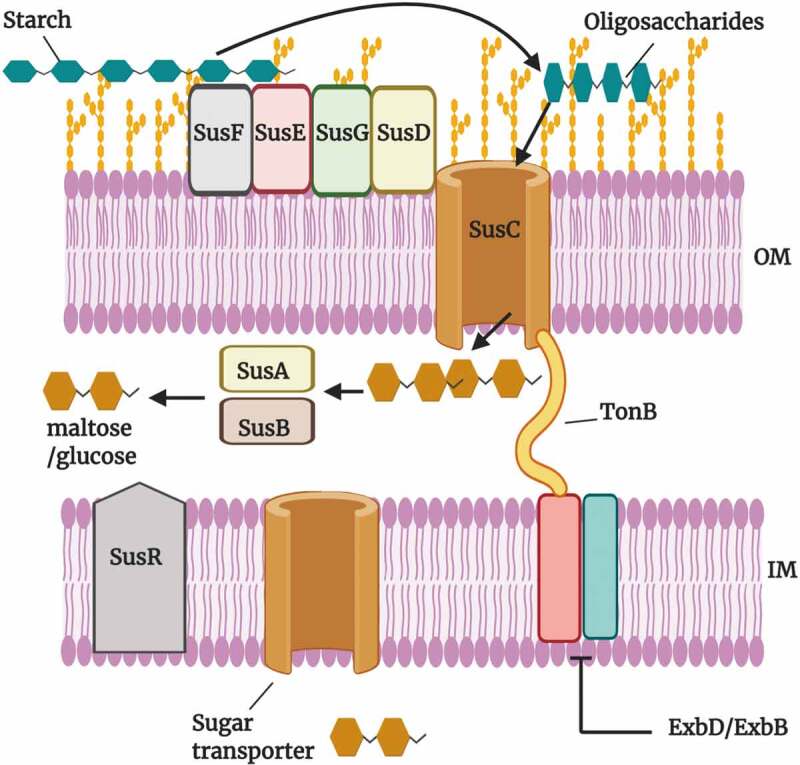 Figure 2.