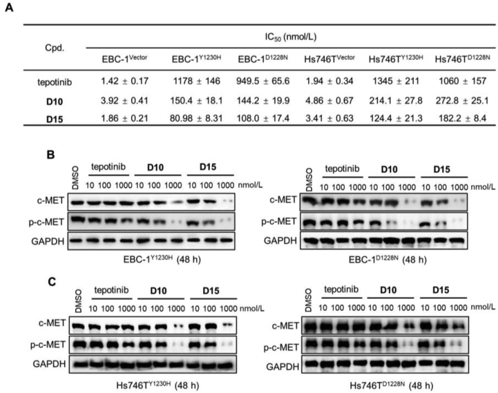 Figure 11