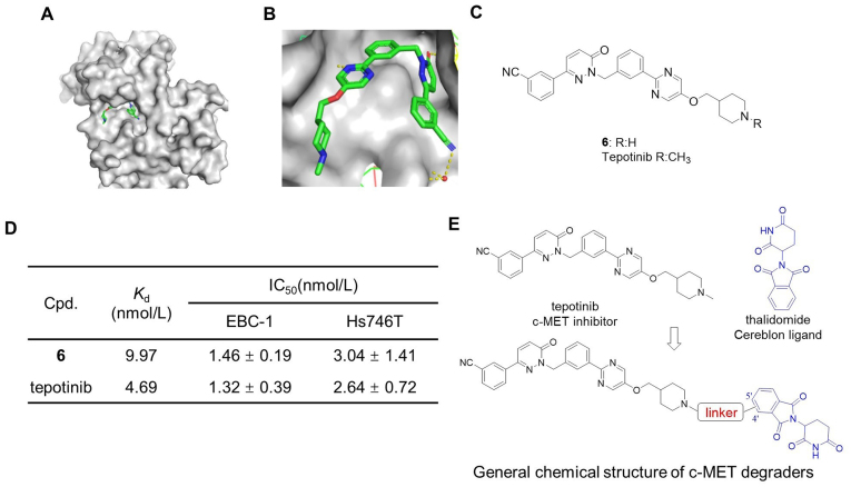 Figure 2