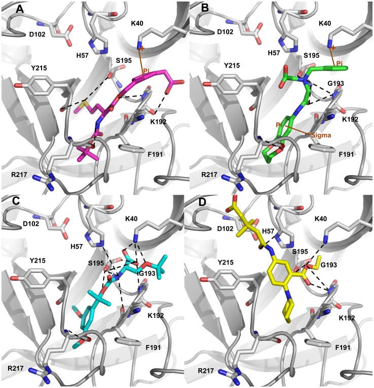 Figure 13