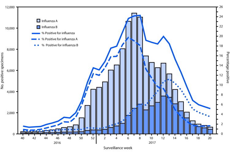 The figure above is a combination line and bar chart showing the number and percentage of respiratory specimens testing positive for influenza reported by clinical laboratories in the United States during October 2, 2016–May 20, 2017, by influenza virus type and surveillance week.