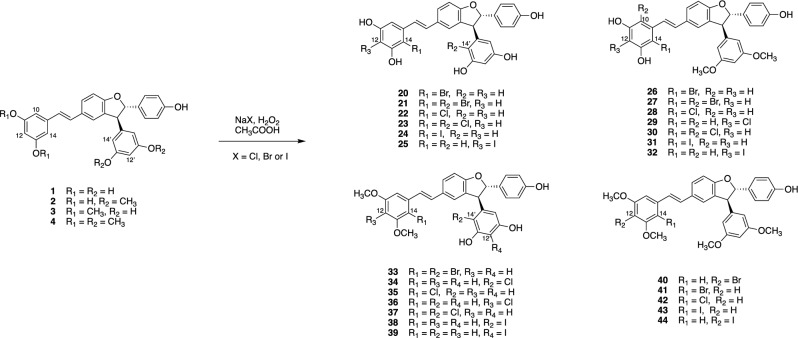 Figure 5