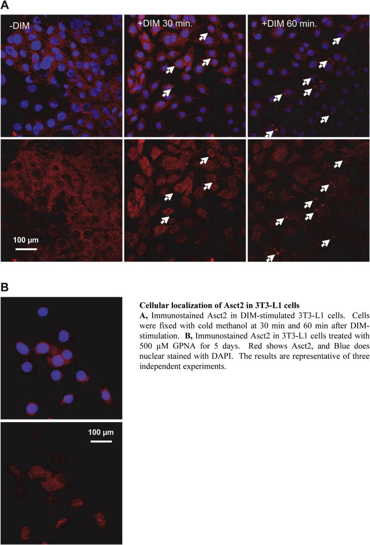 Supplementary Fig. 2