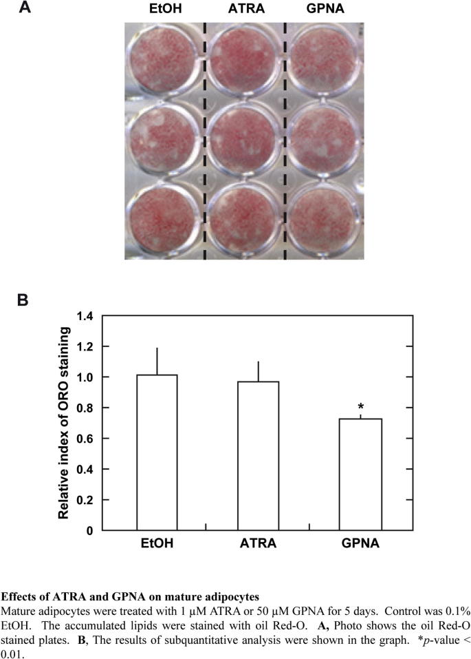 Supplementary Fig. 4